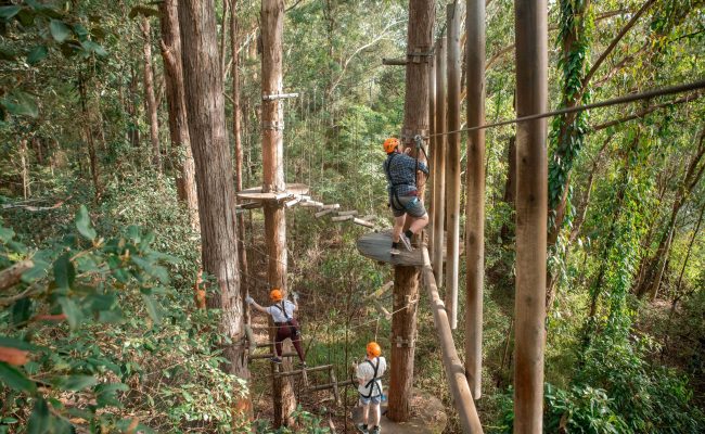 Treetops Adventure